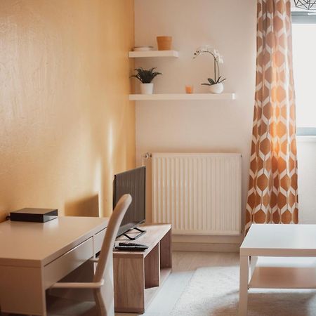 Bel Appartement Au Calme Avec Parking 리옹 외부 사진