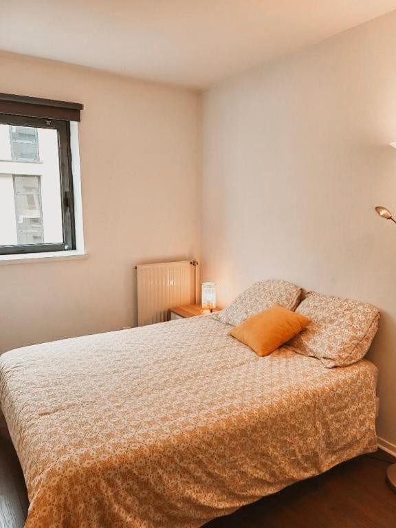 Bel Appartement Au Calme Avec Parking 리옹 외부 사진